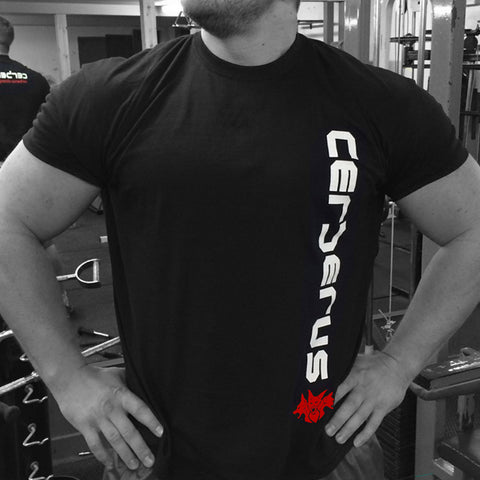 Image of Vertical T-Shirt